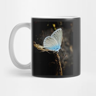 Small blue butterfly Mug